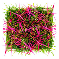 Example of a social media feed
